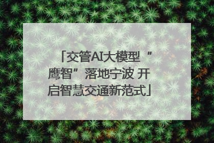 交管AI大模型“鹰智”落地宁波 开启智慧交通新范式