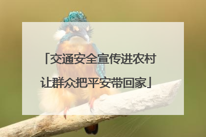 交通安全宣传进农村 让群众把平安带回家