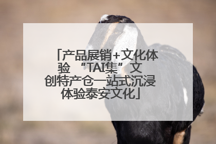 产品展销+文化体验 “TAI集”文创特产仓一站式沉浸体验泰安文化