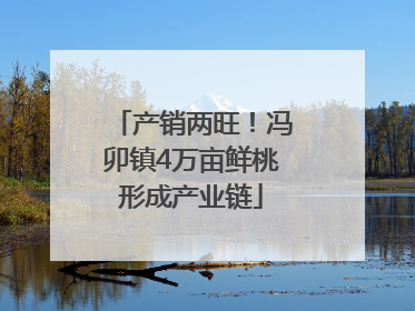 产销两旺！冯卯镇4万亩鲜桃形成产业链