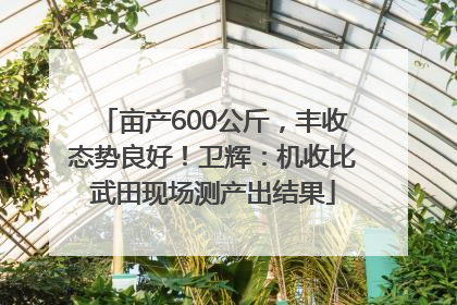 亩产600公斤，丰收态势良好！卫辉：机收比武田现场测产出结果