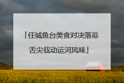 任城鱼台美食对决落幕 舌尖载动运河风味