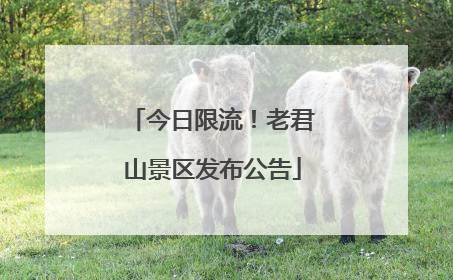 今日限流！老君山景区发布公告
