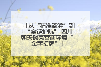 从“精准滴灌”到“全链护航” 四川朝天擦亮营商环境“金字招牌”