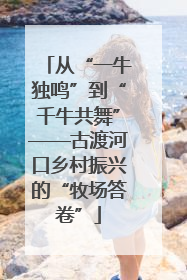 从“一牛独鸣”到“千牛共舞”——古渡河口乡村振兴的“牧场答卷”