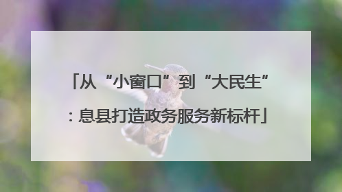 从“小窗口”到“大民生”：息县打造政务服务新标杆