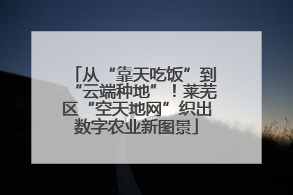 从“靠天吃饭”到“云端种地”！莱芜区“空天地网”织出数字农业新图景