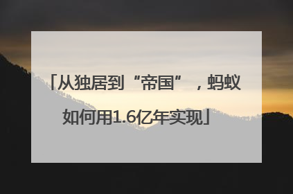 从独居到“帝国”，蚂蚁如何用1.6亿年实现