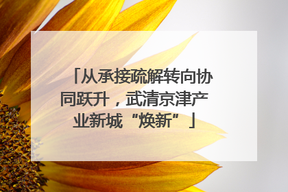 从承接疏解转向协同跃升，武清京津产业新城“焕新”