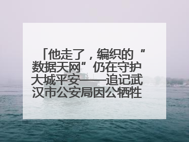 他走了，编织的“数据天网”仍在守护大城平安——追记武汉市公安局因公牺牲民警万松
