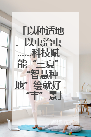 以种适地、以虫治虫……科技赋能“三夏” “智慧种地”绘就好“丰”景