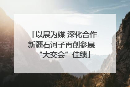以展为媒 深化合作 新疆石河子再创参展“大交会”佳绩