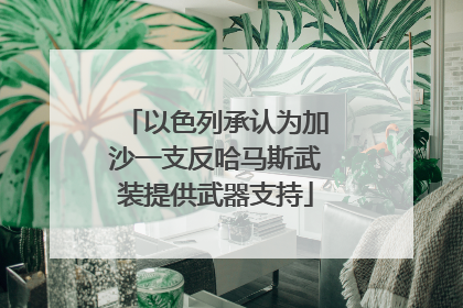 以色列承认为加沙一支反哈马斯武装提供武器支持