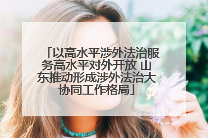 以高水平涉外法治服务高水平对外开放 山东推动形成涉外法治大协同工作格局