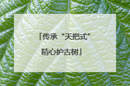 传承“天把式” 精心护古树