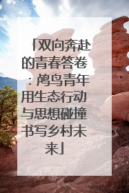 双向奔赴的青春答卷：鸬鸟青年用生态行动与思想碰撞书写乡村未来
