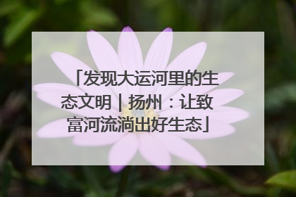 发现大运河里的生态文明｜扬州：让致富河流淌出好生态