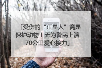 受伤的“汪星人”竟是保护动物！无为警民上演70公里爱心接力