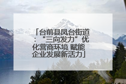 台前县凤台街道：“三向发力”优化营商环境 赋能企业发展新活力