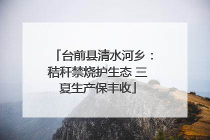 台前县清水河乡：秸秆禁烧护生态 三夏生产保丰收