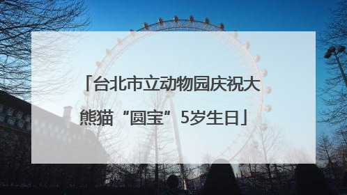 台北市立动物园庆祝大熊猫“圆宝”5岁生日