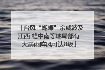 台风“蝴蝶”余威波及江西 赣中南等地局部有大暴雨阵风可达8级