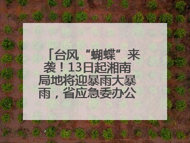台风“蝴蝶”来袭！13日起湘南局地将迎暴雨大暴雨，省应急委办公室发布汛情提醒
