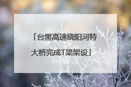台黑高速绕阳河特大桥完成T梁架设