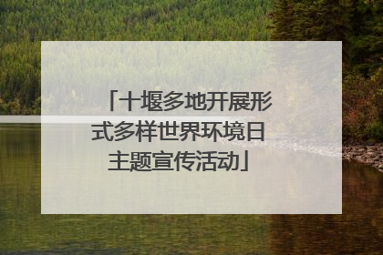 十堰多地开展形式多样世界环境日主题宣传活动