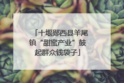 十堰郧西县羊尾镇“甜蜜产业”鼓起群众钱袋子