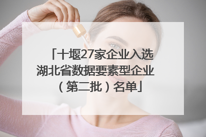 十堰27家企业入选湖北省数据要素型企业（第二批）名单
