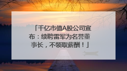 千亿市值A股公司宣布：续聘雷军为名誉董事长，不领取薪酬！