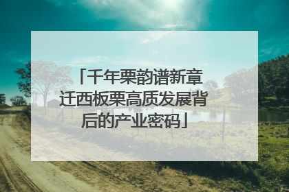 千年栗韵谱新章 迁西板栗高质发展背后的产业密码