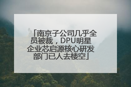 南京子公司几乎全员被裁，DPU明星企业芯启源核心研发部门已人去楼空