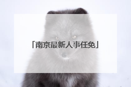 南京最新人事任免