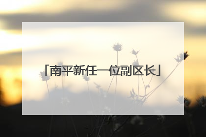 南平新任一位副区长