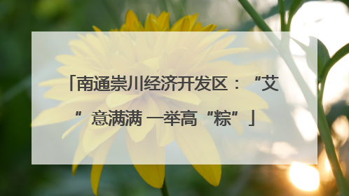 南通崇川经济开发区：“艾”意满满 一举高“粽”