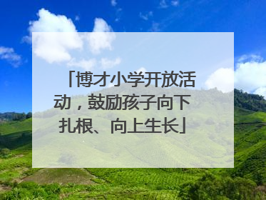 博才小学开放活动，鼓励孩子向下扎根、向上生长