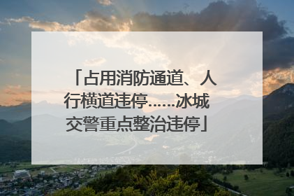 占用消防通道、人行横道违停……冰城交警重点整治违停