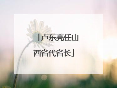 卢东亮任山西省代省长
