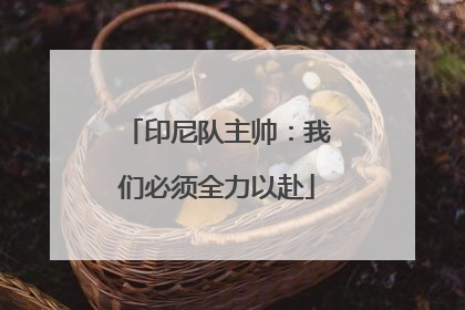 印尼队主帅：我们必须全力以赴