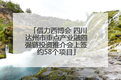 借力西博会 四川达州市重点产业融圈强链投资推介会上签约58个项目