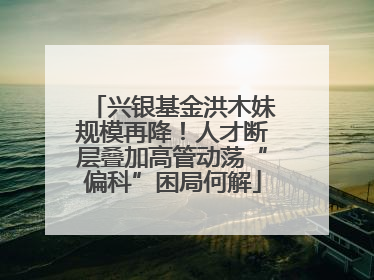 兴银基金洪木妹规模再降！人才断层叠加高管动荡“偏科”困局何解