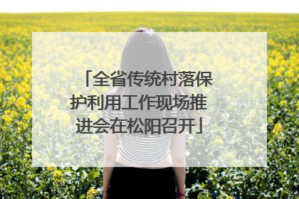 全省传统村落保护利用工作现场推进会在松阳召开