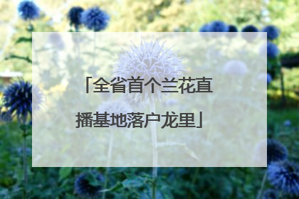 全省首个兰花直播基地落户龙里