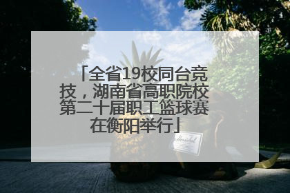 全省19校同台竞技，湖南省高职院校第二十届职工篮球赛在衡阳举行