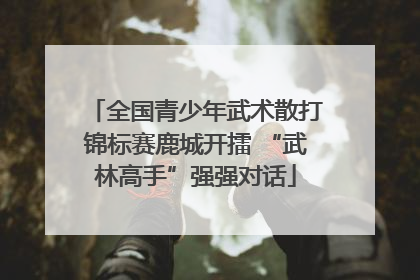 全国青少年武术散打锦标赛鹿城开擂 “武林高手”强强对话