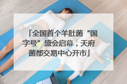 全国首个羊肚菌“国字号”盛会启幕，天府菌都交易中心开市