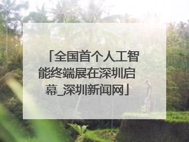 全国首个人工智能终端展在深圳启幕_深圳新闻网