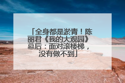 全身都是淤青！陈丽君《我的大观园》幕后：面对滚楼梯，没有做不到